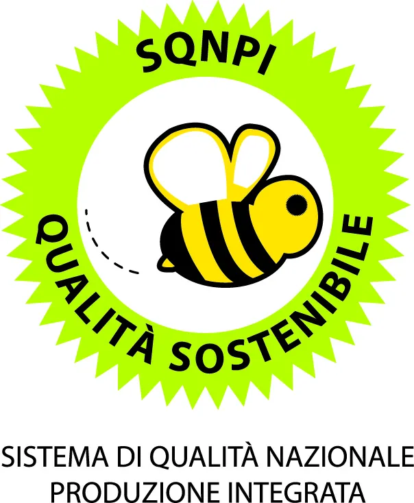 Logo SQNPI